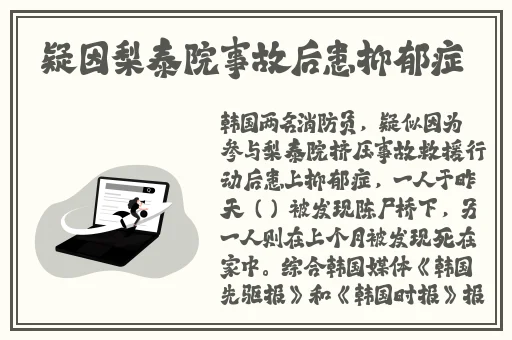 亚洲精品乱码久久久久久v